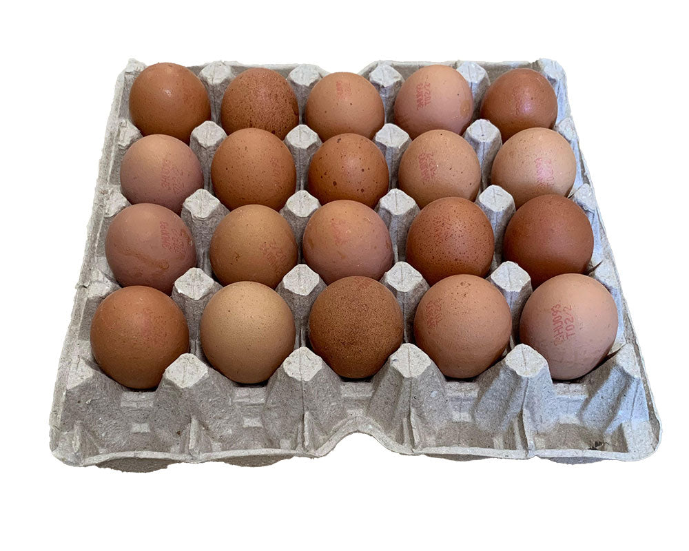 Tálcás tojás (XL)