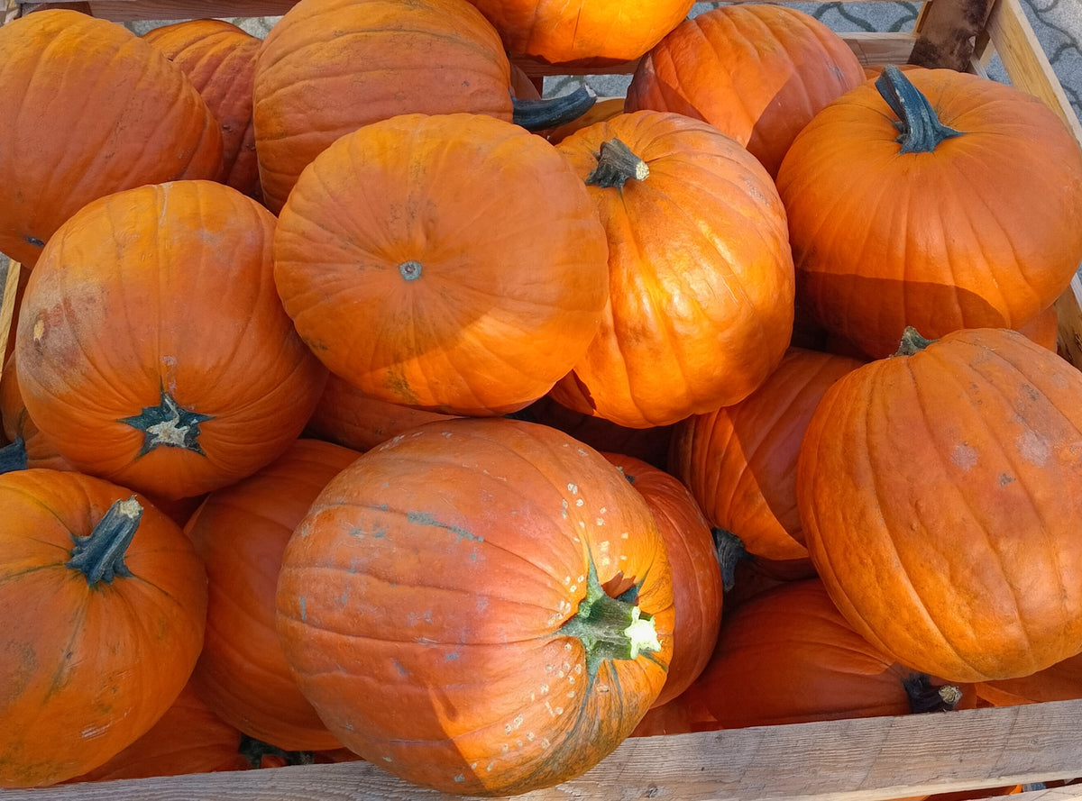 HALLOWEEN TÖK 1kg