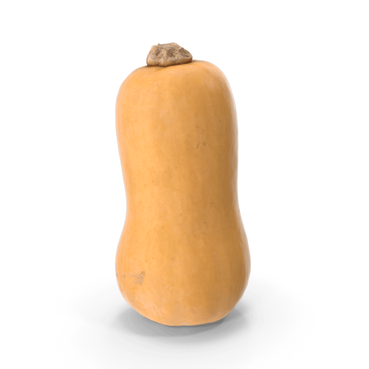 Sütőtök