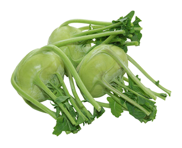 Karalábé 1db