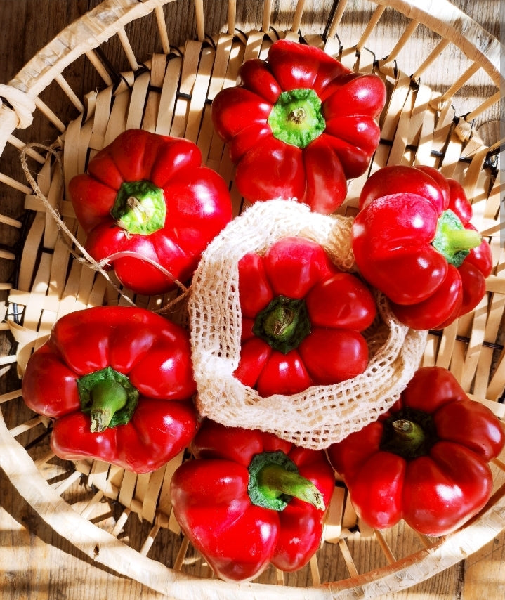 Paprika Pritamin 1kg