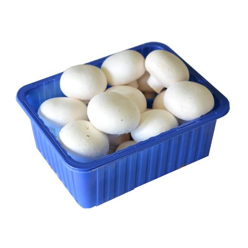Gomba csiperke 500g fehér