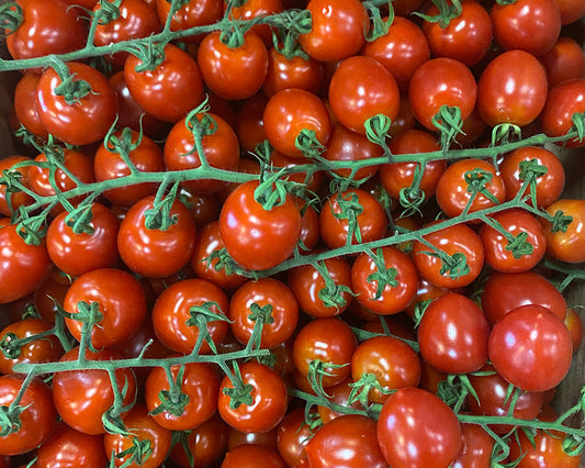 Paradicsom koktél 1kg / spanyol